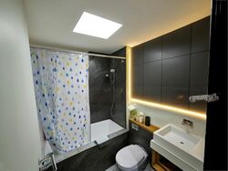 Mount Sophia Suites (D9), Apartment #458550171